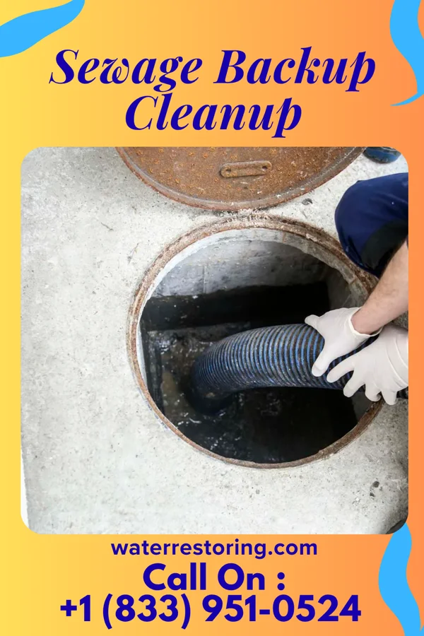 Sewage Backup Cleanup in St. Hedwig, TX