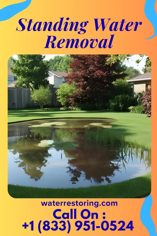 Standing Water Removal in St. Hedwig, TX